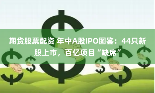 期货股票配资 年中A股IPO图鉴：44只新股上市，百亿项目“缺席”