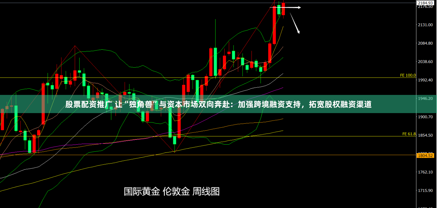 股票配资推广 让“独角兽”与资本市场双向奔赴：加强跨境融资支持，拓宽股权融资渠道