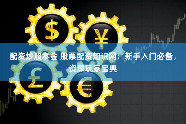 配资炒股本金 股票配资知识网：新手入门必备，资深玩家宝典