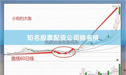 知名股票配资公司排名榜