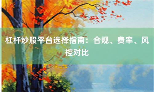 杠杆炒股平台选择指南：合规、费率、风控对比