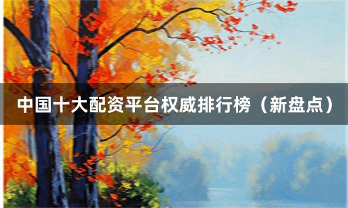 中国十大配资平台权威排行榜（新盘点）